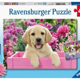 Ravensburger 2x24 Parça Puzzle Friends 050291 | Toysall