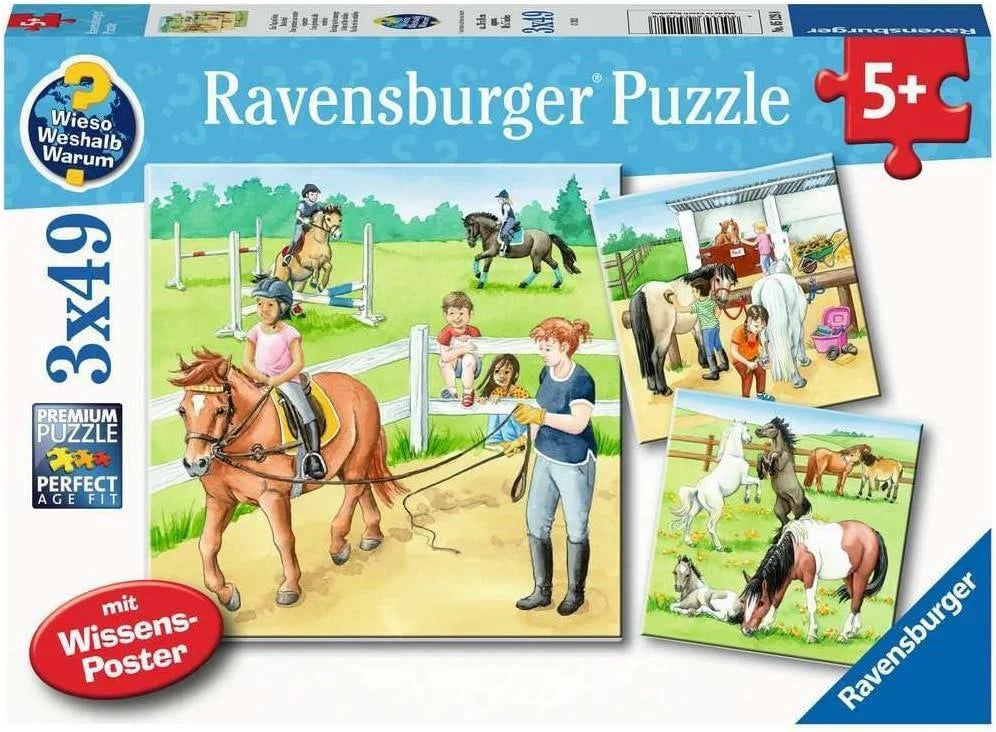 Ravensburger 3x49 Parça Puzzle Ahırda Bir Gün 51298 | Toysall