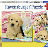 Ravensburger 3x49 Parça Puzzle Puppies 080656 | Toysall