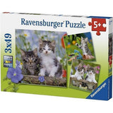 Ravensburger 3x49 Parça Puzzle Tiger Babies 080465