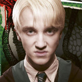 Ravensburger Harry Potter Hafıza Oyunu 206483