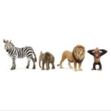Schleich Afrika Başlangıç Seti 42721