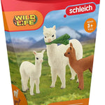 Schleich Alpaka Seti 42544 | Toysall