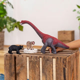 Schleich Amerikan Kara Ayısı 14869