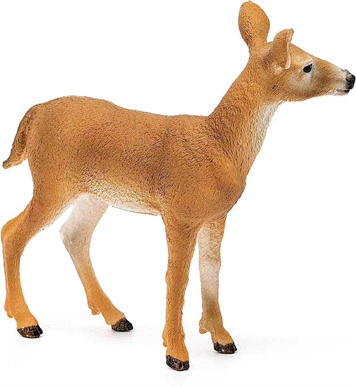 Schleich Beyaz Kuyruklu Karaca 14819 | Toysall