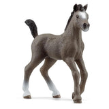 Schleich C de Selle Francais Tay 13957
