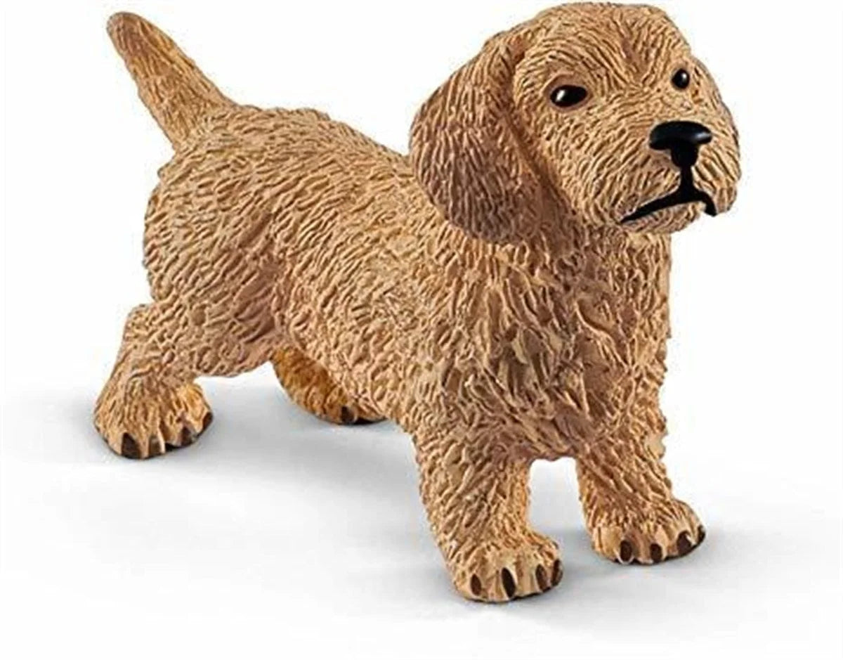 Schleich Dachshund 13891 | Toysall