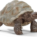 Schleich Dev Tosbağa 14824 | Toysall