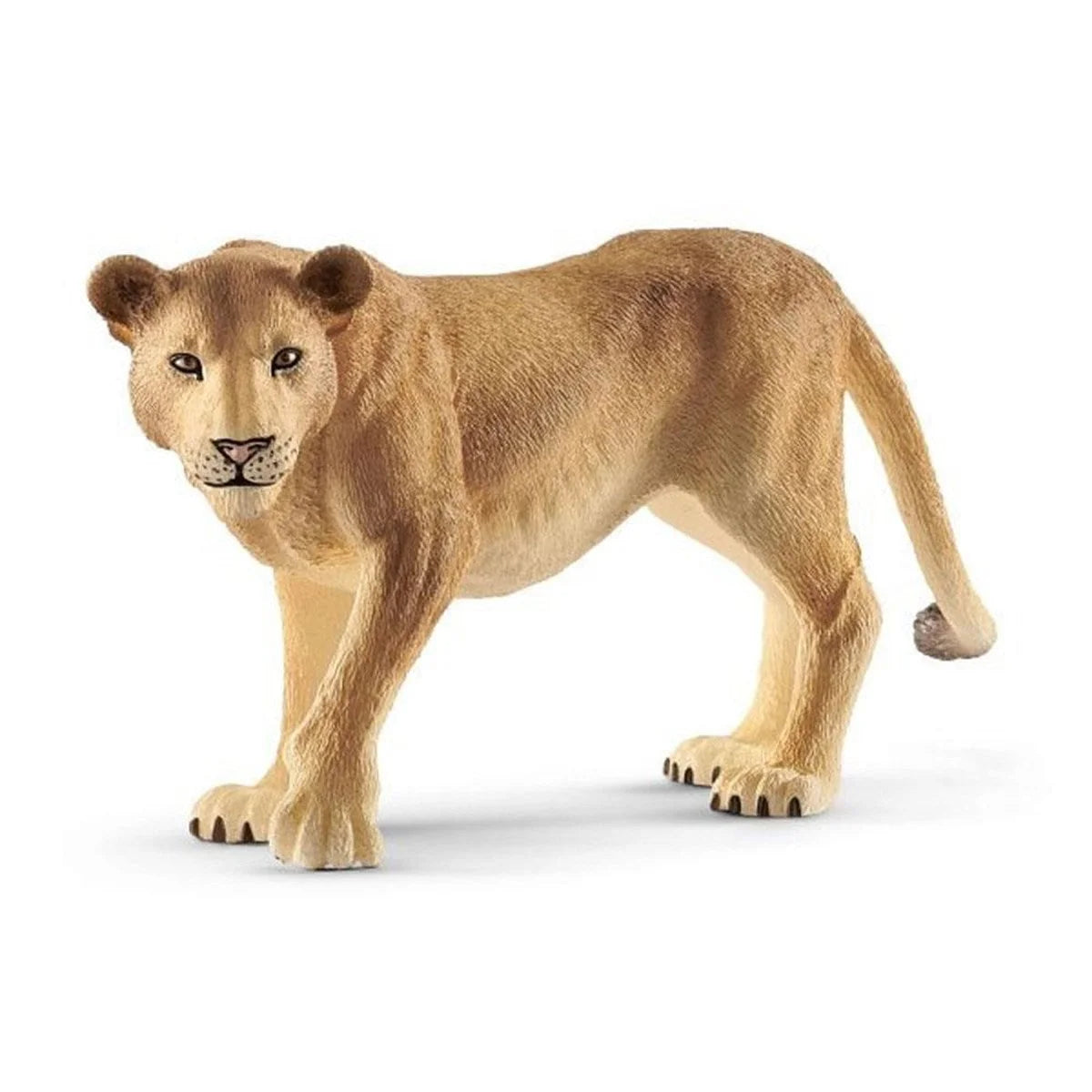 Schleich Dişi Aslan 14825 | Toysall