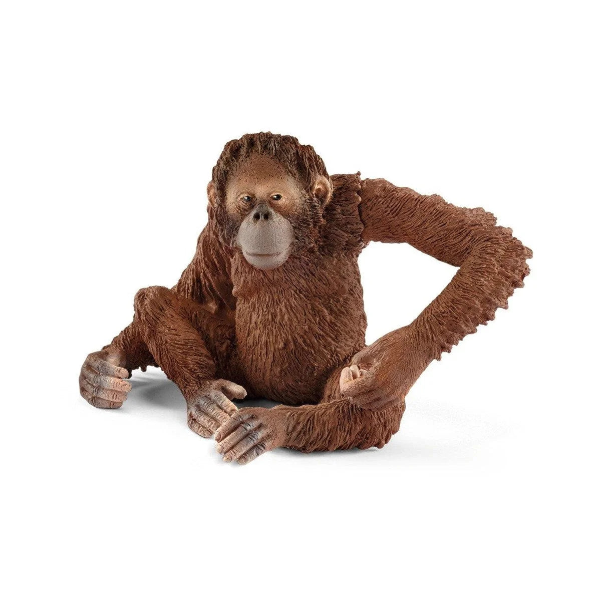 Schleich Dişi Orangutan 14775 | Toysall