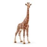 Schleich Dişi Zürafa 14750 | Toysall