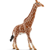 Schleich Dişi Zürafa 17007