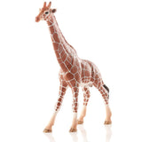 Schleich Dişi Zürafa 17007