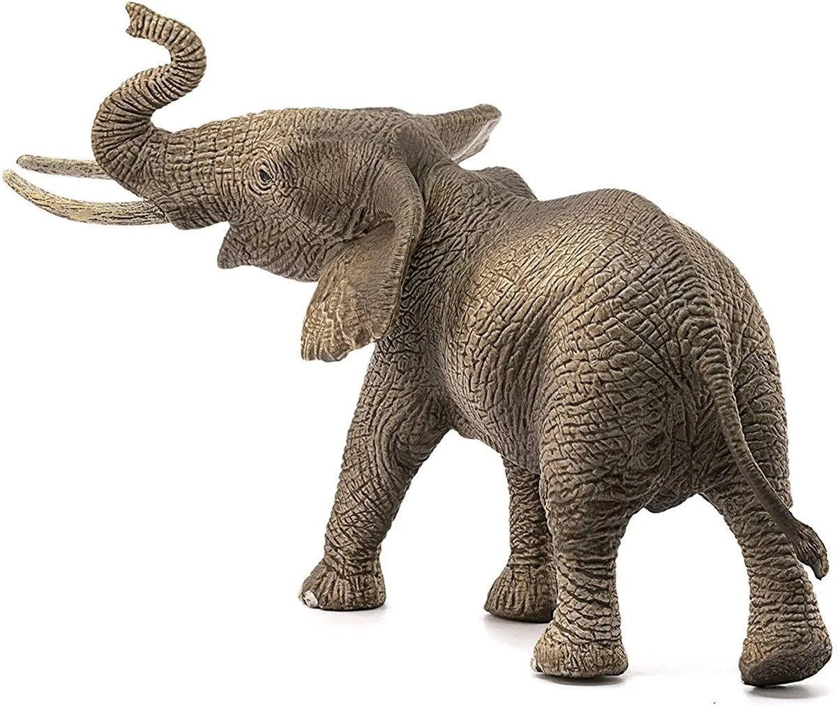 Schleich Erkek Afrika Fili 14762 | Toysall