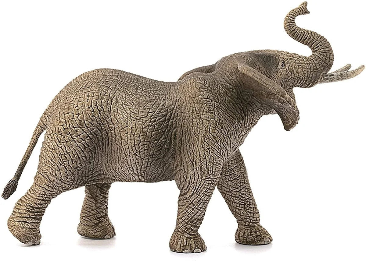 Schleich Erkek Afrika Fili 14762 | Toysall