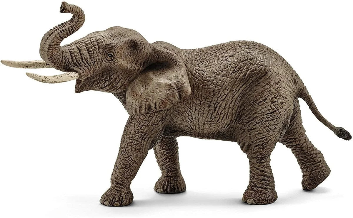 Schleich Erkek Afrika Fili 14762 | Toysall