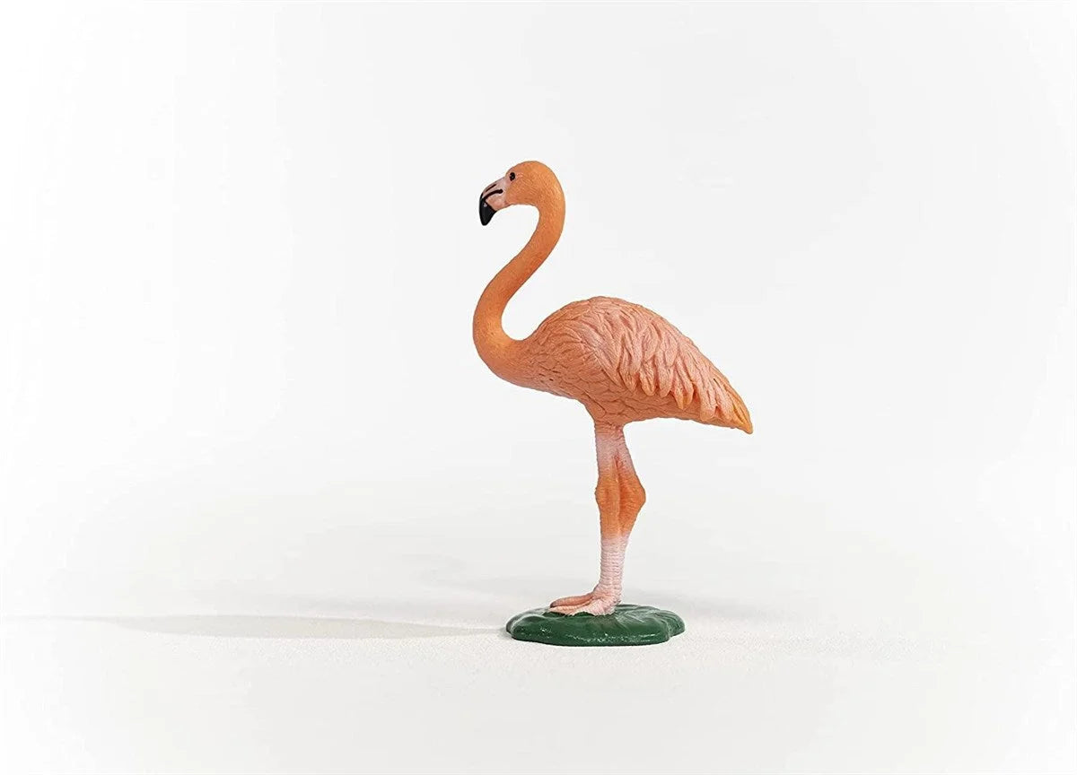 Schleich Flamingo 14849 | Toysall