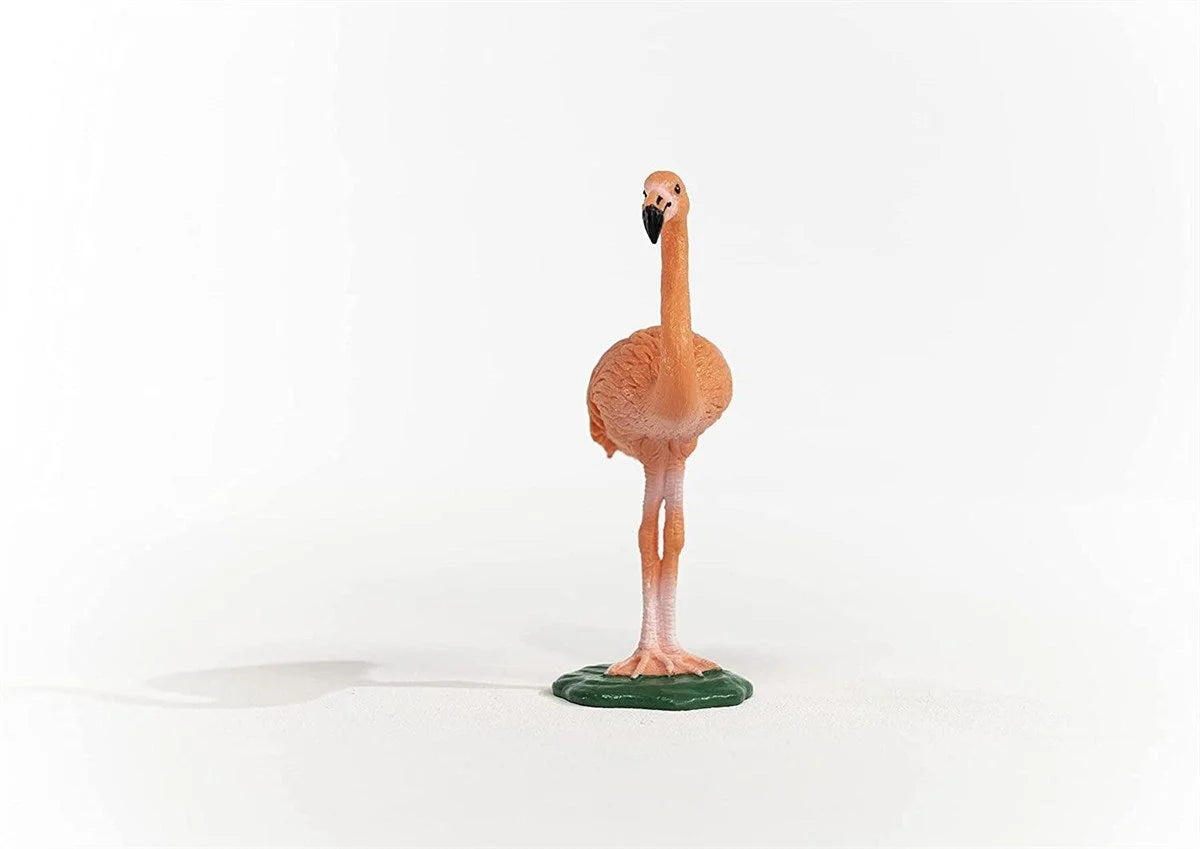 Schleich Flamingo 14849 | Toysall