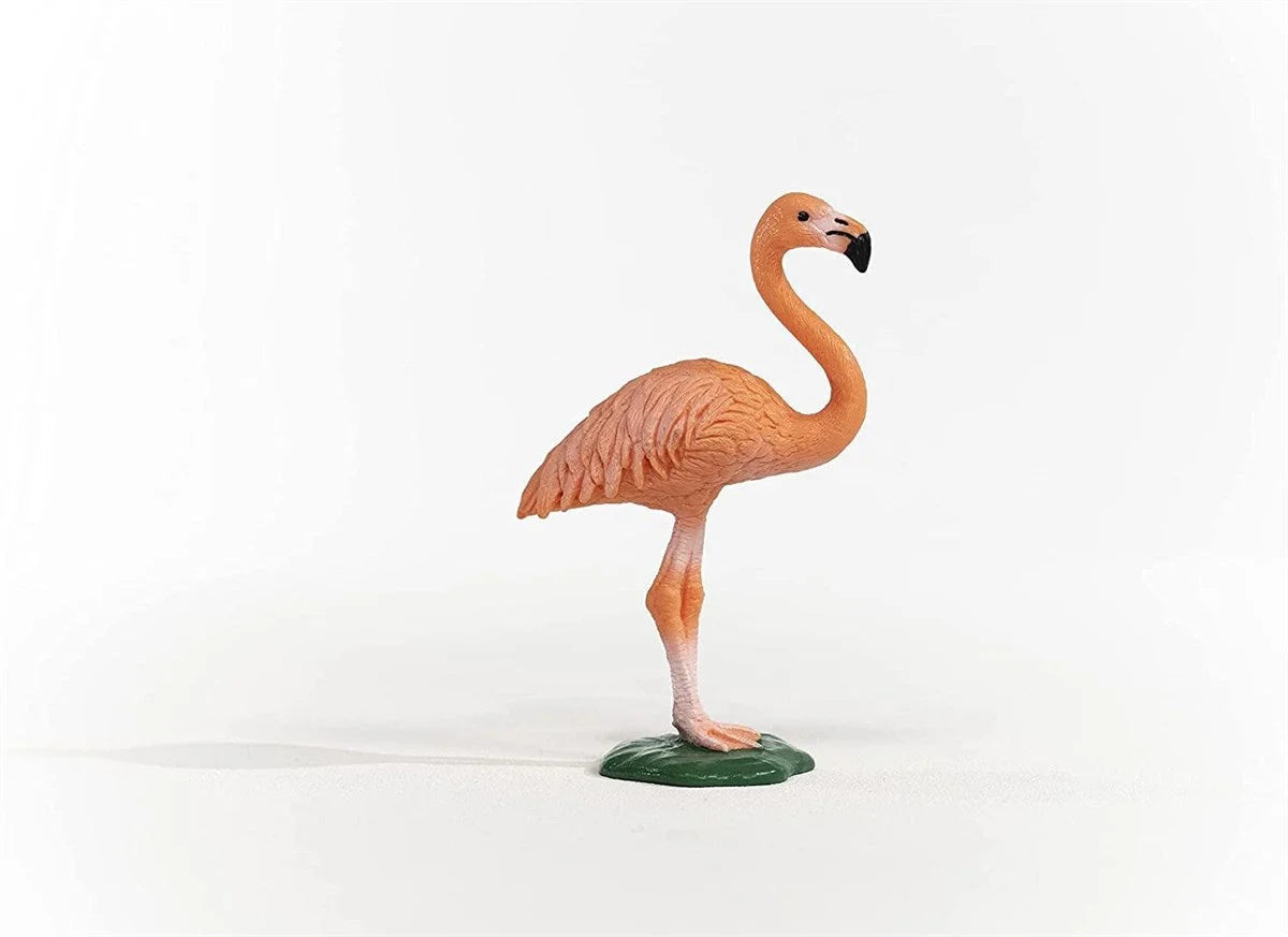 Schleich Flamingo 14849 | Toysall