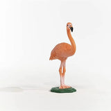 Schleich Flamingo 14849 | Toysall