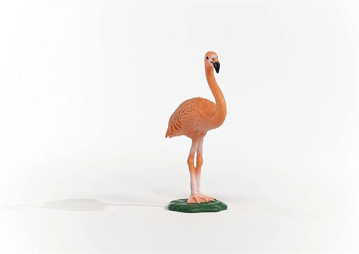 Schleich Flamingo 14849 | Toysall