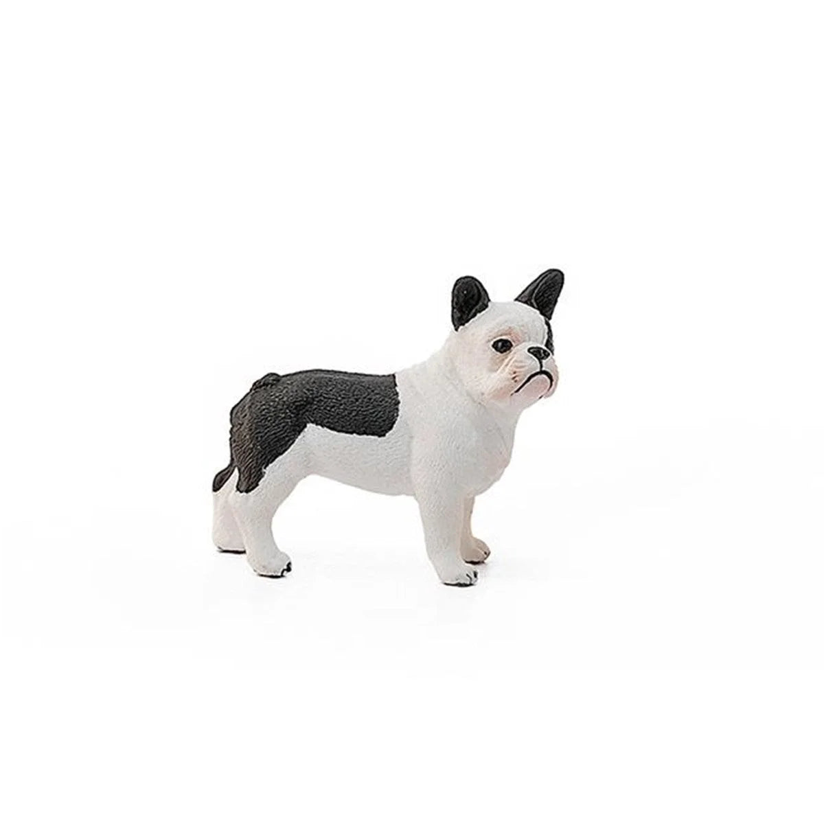 Schleich Fransız Bulldog 13877 | Toysall