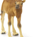 Schleich Hörgüçlü Deve 14832 | Toysall