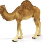 Schleich Hörgüçlü Deve 14832 | Toysall