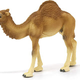 Schleich Hörgüçlü Deve 14832 | Toysall