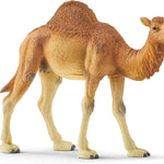 Schleich Hörgüçlü Deve 14832 | Toysall