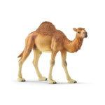 Schleich Hörgüçlü Deve 14832 | Toysall