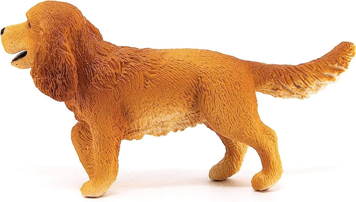 Schleich İngiliz Cocker Köpek 13896 | Toysall