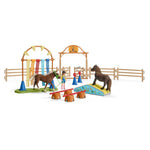 Schleich Pony Eğitimi 42481 | Toysall