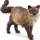 Schleich Ragdoll Kedi 13940 | Toysall