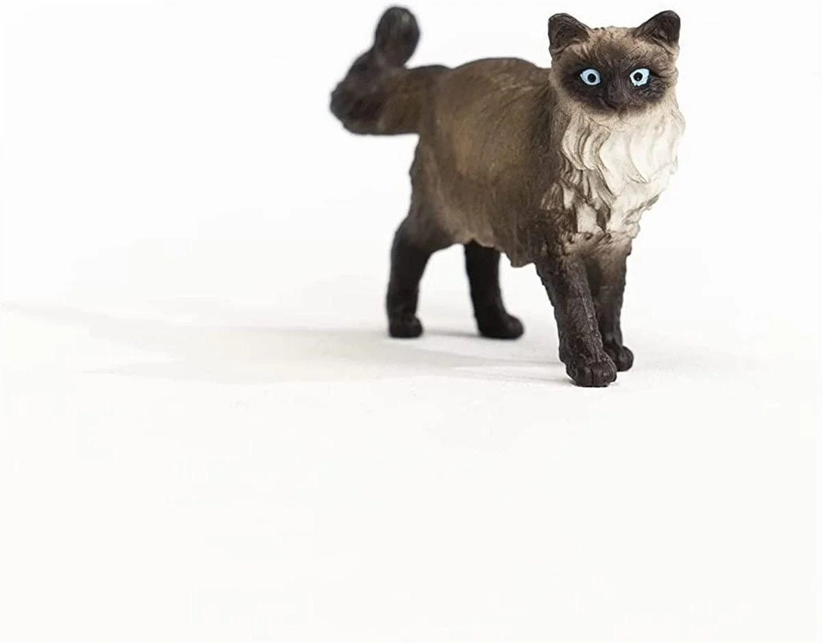 Schleich Ragdoll Kedi 13940 | Toysall