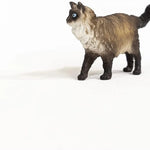 Schleich Ragdoll Kedi 13940 | Toysall