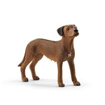 Schleich Rodezya Ridgeback Köpek 13895 | Toysall