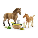 Schleich Sarahın Hayvan Bakım Seti 42432 | Toysall