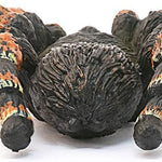 Schleich Tarantula 14829 | Toysall