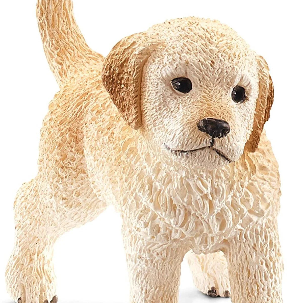 Schleich Yavru Golden Retriever 16396 | Toysall