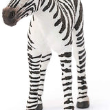 Schleich Yavru Zebra 14811