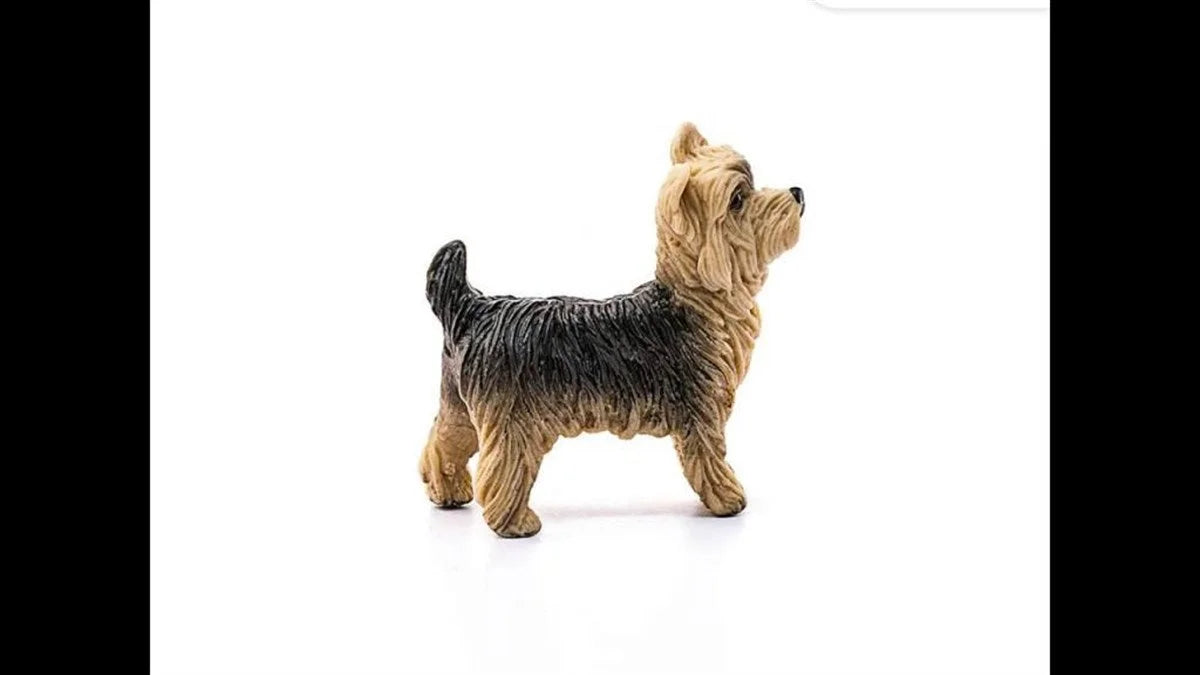 Schleich Yorkshire Terrier 13876 | Toysall