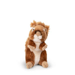 Bon Ton Toys WWF Kızıl Sincap Peluş Oyuncak 15 cm - 6" 15201009 | Toysall